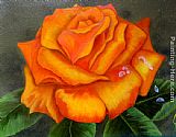 Orange Rose